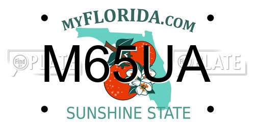 M65UA Florida License Plate