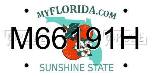 M66191H Florida License Plate