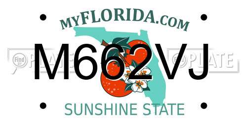 M662VJ Florida License Plate
