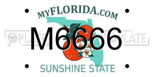M6666 Florida License Plate