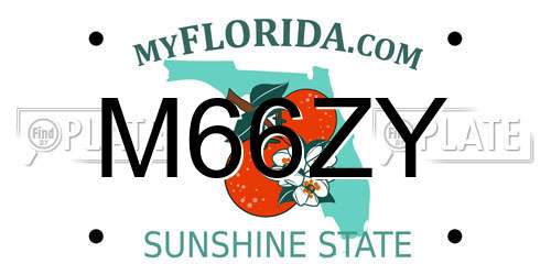 M66ZY Florida License Plate