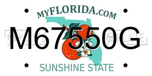 M67550G Florida License Plate