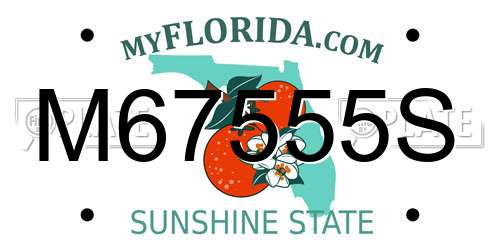 M67555S Florida License Plate