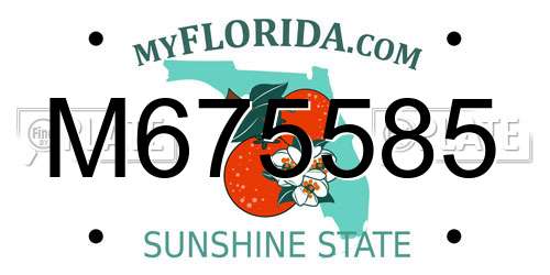 M675585 Florida License Plate