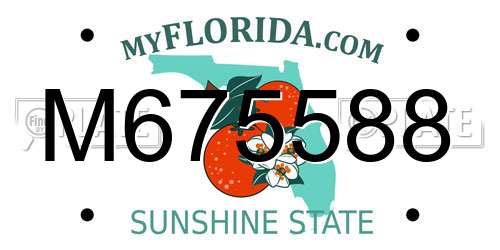 M675588 Florida License Plate