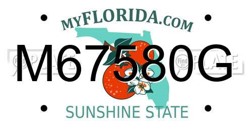M67580G Florida License Plate