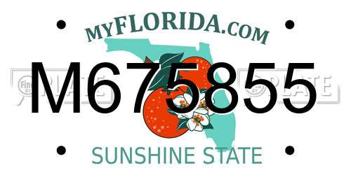 M675855 Florida License Plate
