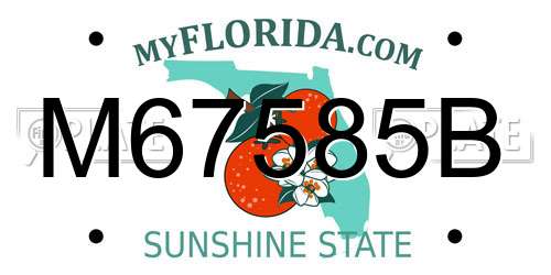 M67585B Florida License Plate