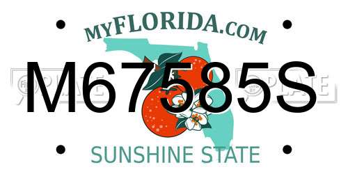 M67585S Florida License Plate
