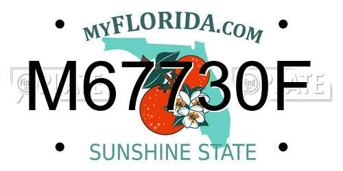 M67730F Florida License Plate