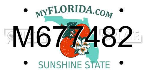 M677482 Florida License Plate