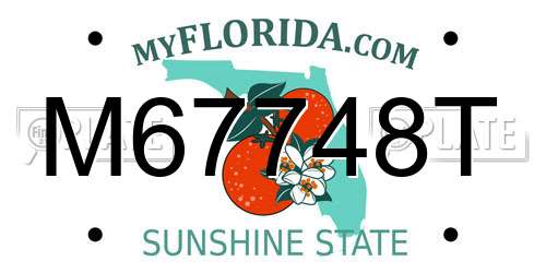 M67748T Florida License Plate