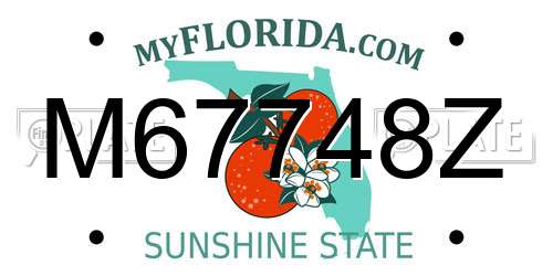 M67748Z Florida License Plate