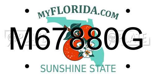 M67880G Florida License Plate