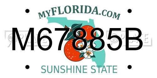 M67885B Florida License Plate
