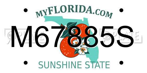 M67885S Florida License Plate