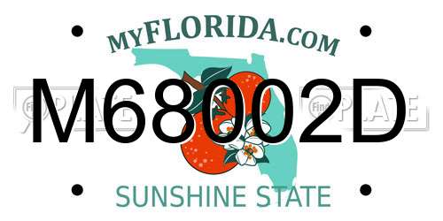 M68002D Florida License Plate