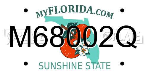 M68002Q Florida License Plate