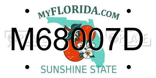 M68007D Florida License Plate