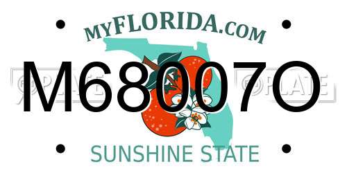 M68007O Florida License Plate