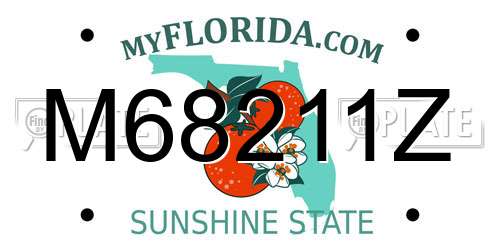 M68211Z Florida License Plate