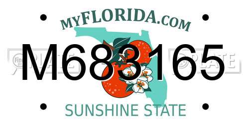 M683165 Florida License Plate