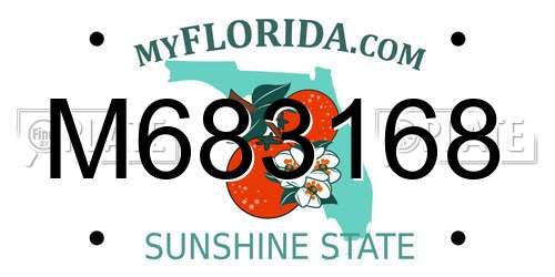 M683168 Florida License Plate