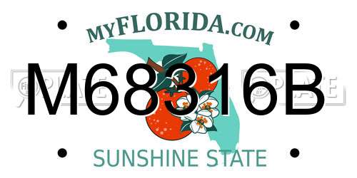 M68316B Florida License Plate