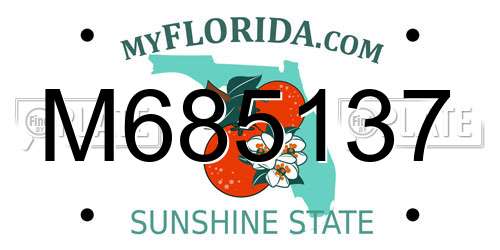 M685137 Florida License Plate
