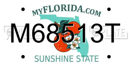 M68513T Florida License Plate