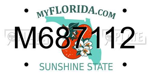 M687112 Florida License Plate