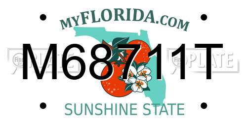 M68711T Florida License Plate