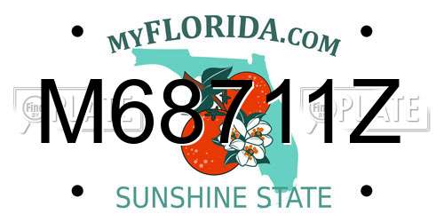 M68711Z Florida License Plate