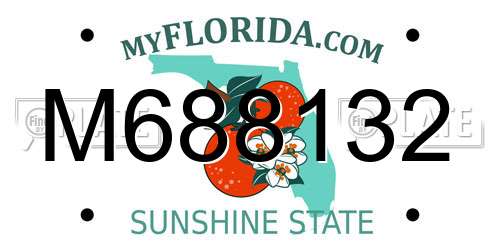 M688132 Florida License Plate
