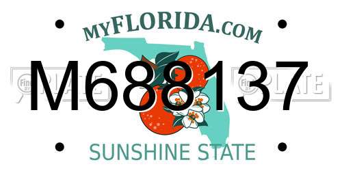 M688137 Florida License Plate