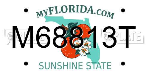 M68813T Florida License Plate