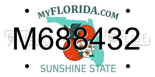 M688432 Florida License Plate