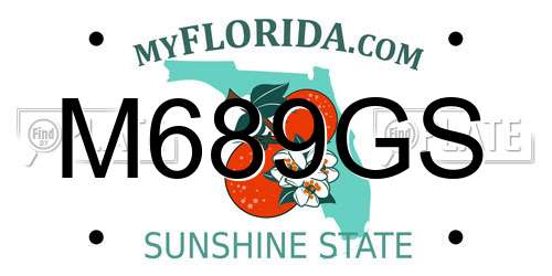 M689GS Florida License Plate