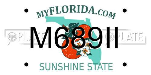 M689II Florida License Plate