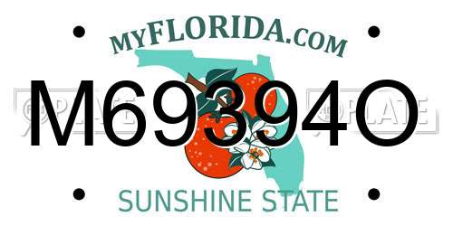 M69394O Florida License Plate
