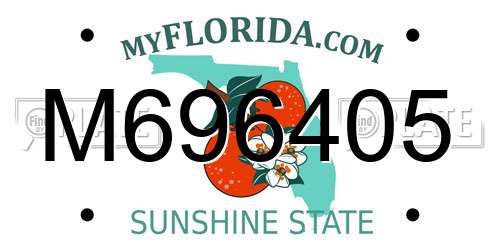 M696405 Florida License Plate