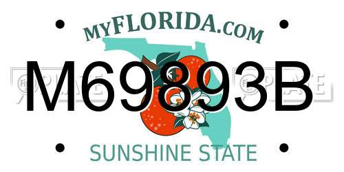 M69893B Florida License Plate