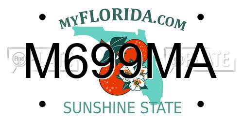 M699MA Florida License Plate