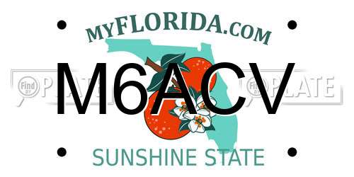 M6ACV Florida License Plate