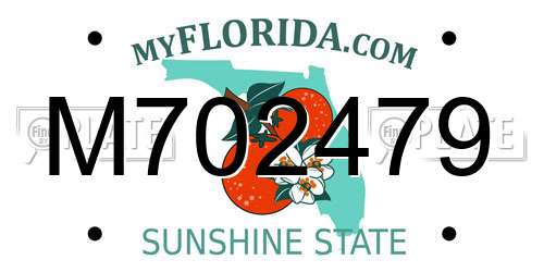 M702479 Florida License Plate