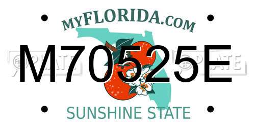 M70525E Florida License Plate