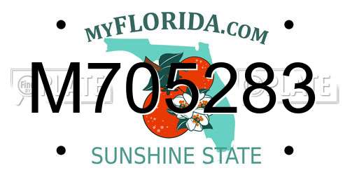 M705283 Florida License Plate