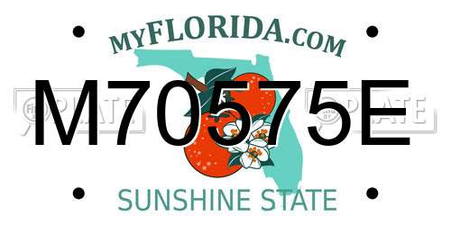 M70575E Florida License Plate