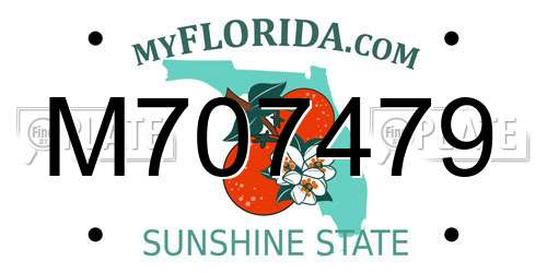 M707479 Florida License Plate