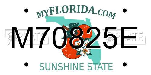 M70825E Florida License Plate